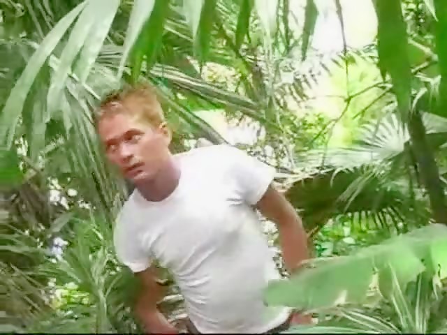 Latinos in the forest