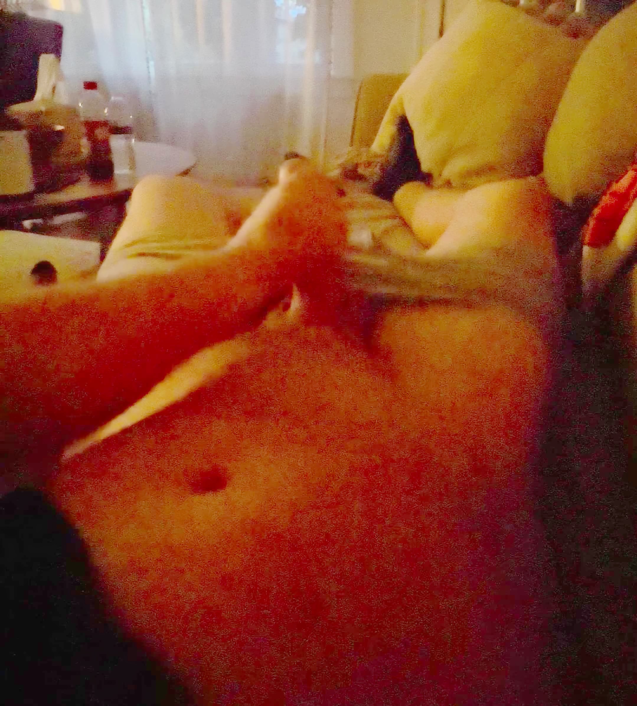 Big white cock